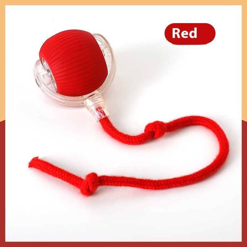 Interactive Pet Toy Ball