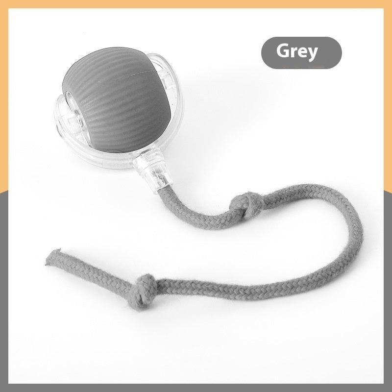 Interactive Pet Toy Ball