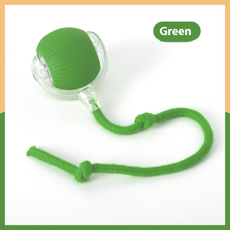 Interactive Pet Toy Ball