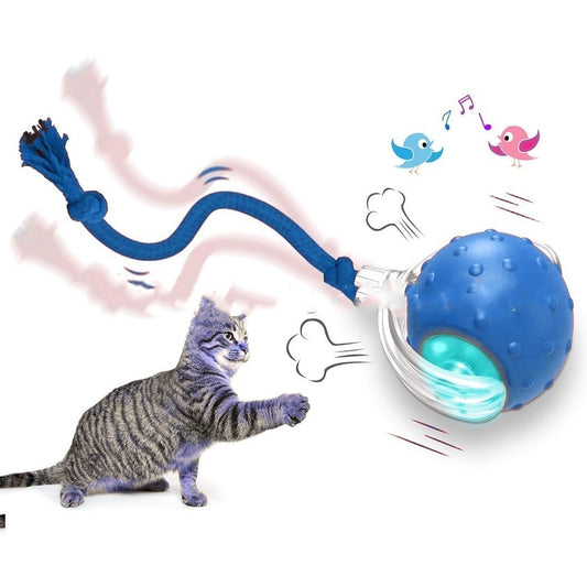 Interactive Pet Toy Ball