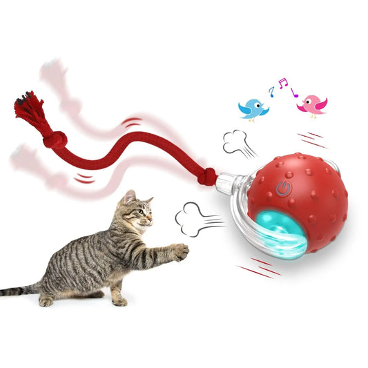 Interactive Pet Toy Ball